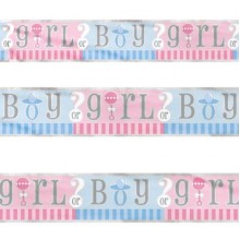 Baby Shower Banner - Gender Revel (Boy/Girl)